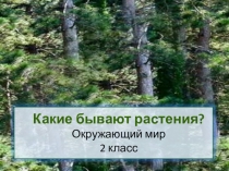 Какие бывают растения (2 класс)