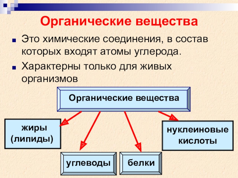 Презентация химический состав организма человека