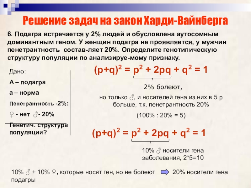 Закон харди вайнберга презентация