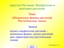 Презентация по биологии Жизненные формы растений