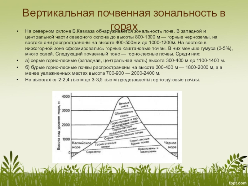 Широтная зональность схема