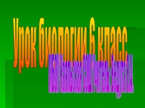 Презентация по биологии на тему Плоды (6 кл.)