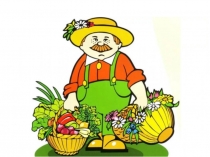 Презентация загадок к открытому уроку