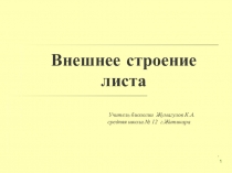 Презентация Внешнее строение листа