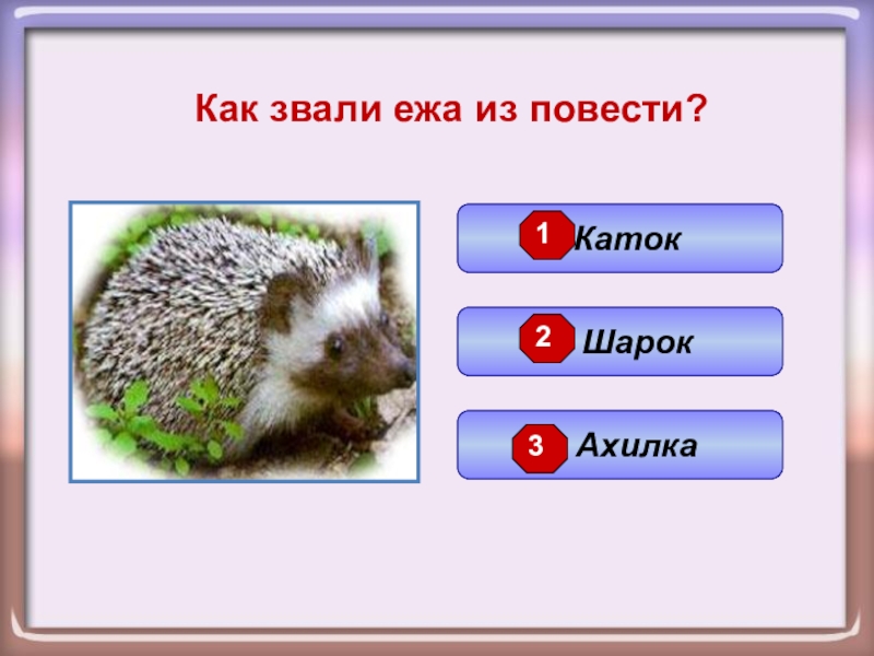 Клички ежей мальчиков. Ежик в дикой природе. Белобрюхого ежа. Ежата смышлята. Африканский карликовый ежик.