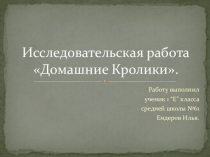 Презентация исследовательской работы Мои кролики ( 1класс)