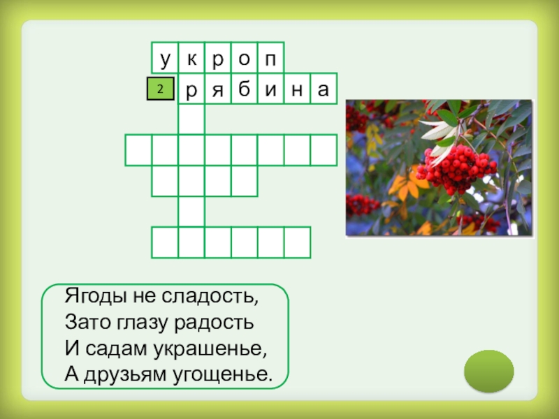 Цветок 6 букв сканворд. Кроссворд лекарственные растения. Кроссворд на тему лекарственные растения. Кроссворд лекарственные рас. Кроссворд растения.