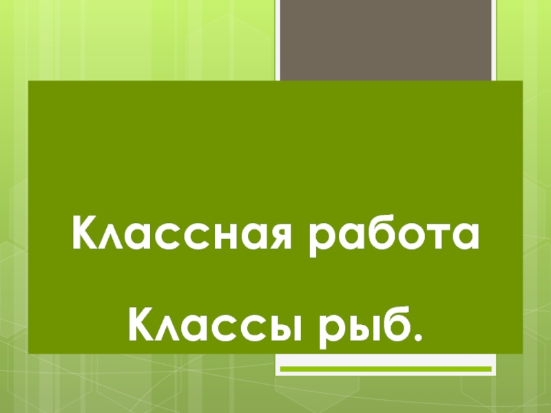 Реферат 9 класс