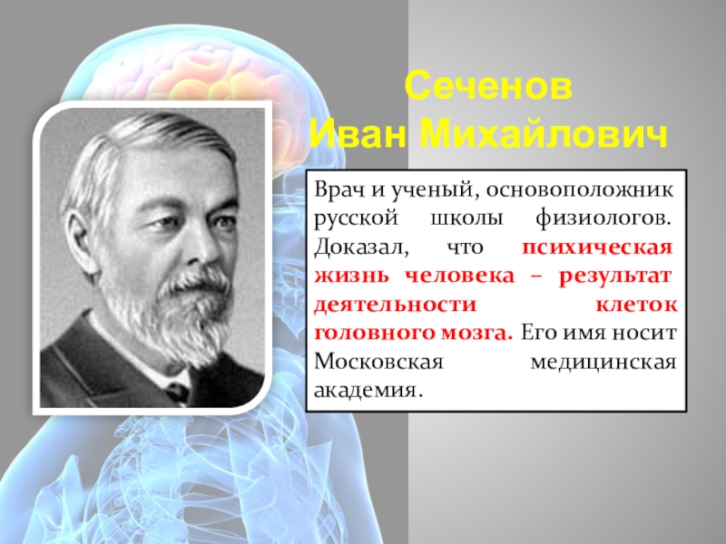 Ученый –создатель современной анатомии. Ученые зоологи и их открытия.