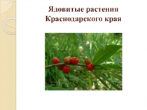 Презентация по теме Ядовитые растения Краснодарского края