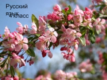 Презентация по русскому языку на тему: Наречие