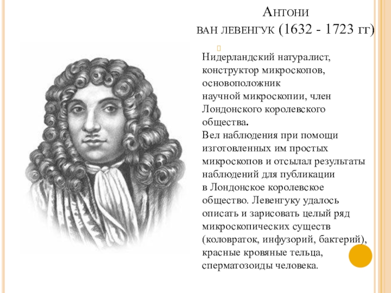 Антони ван левенгук биография. Антони Ван Левенгук (1632-1723). Антони Ван Ле́венгук (1632 – 1723). Антоний Ван Левенгук вклад. Голландский естествоиспытатель Антони Ван Левенгук.