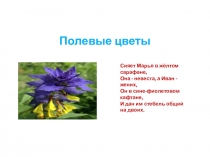 Презентация по художественному труду Полевые цветы