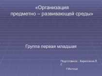 Презентация Предметно развивающая среда в 1 младшей группе