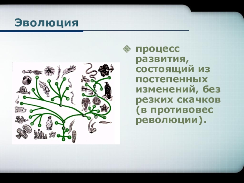 В чем состоит развитие. Процесс эволюции. Эволюция развития процесса. Эволюция это процесс постепенного развития. Эволюционное развитие постепенность изменений.