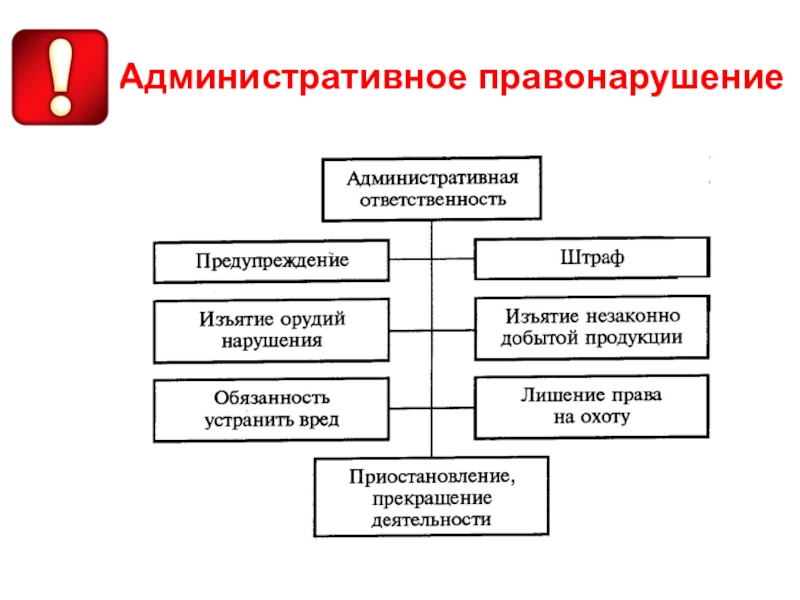 Административные правонарушения в области предпринимательской деятельности