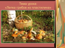 Презентация к уроку: Лепка грибов из пластилина