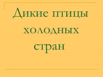 Презентация для начальной школы Дикие птицы холодных стран