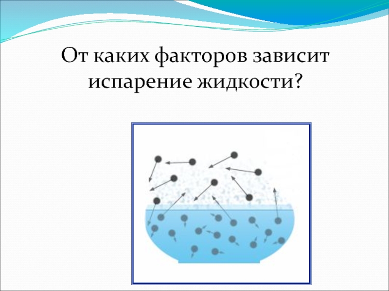 Роль испарения в мире животных физика презентация