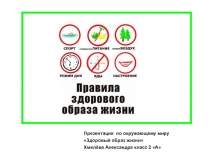 Презентация по окружающему миру (2 класс)