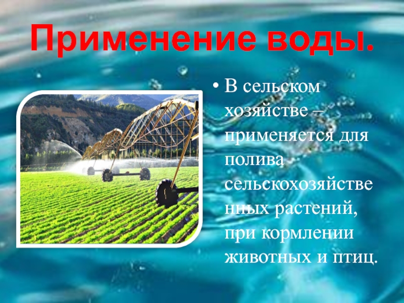 Применение воды.В сельском хозяйстве – применяется для полива сельскохозяйственных растений, при кормлении животных и птиц.
