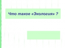 Что таоке экология?