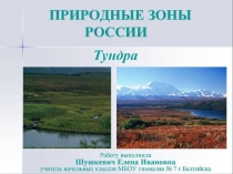 Презентация по окружающему миру на тему Тундра (кроссворд)