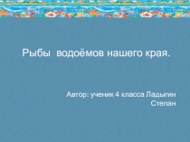 Презентация по окружающему миру на тему  Рыбы нашего края 4 класс