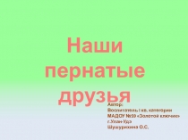Презентация Птицы Подготовительная группа ДОУ