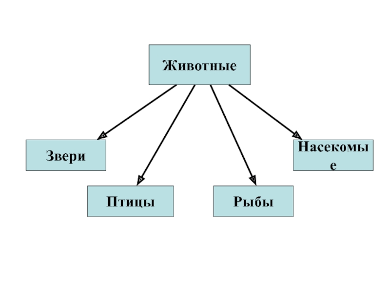 Схема животных. Животные делятся на группы. Животные на какие группы делятся животные. Намкакие группы делятся животные. На какие группы делятся животные 1 класс.