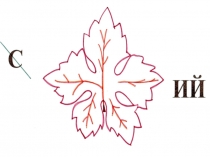 Презентация Соединения щелочных металлов