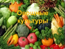 Презентация для внеурочного занятия