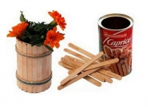 Презентация по технологии Поделки из шпателей (4 класс)