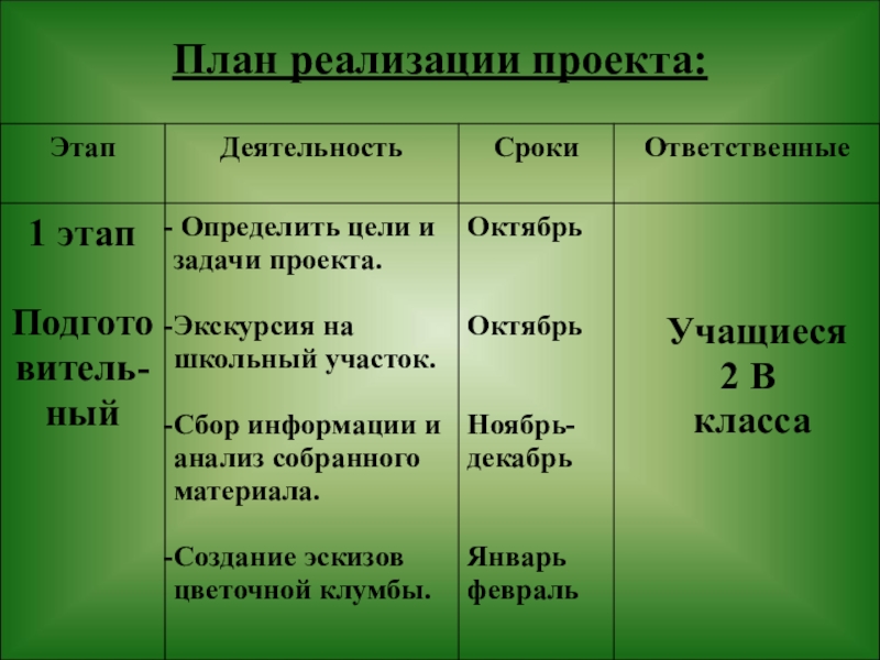 План реализации проекта презентация