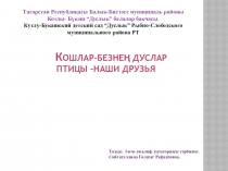 Кошлар безнең дуслар