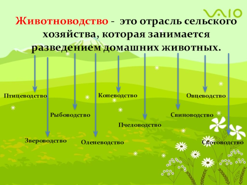 Презентация про животноводство 4 класс окружающий мир