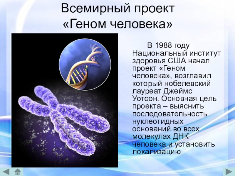 Проект геном человека презентация