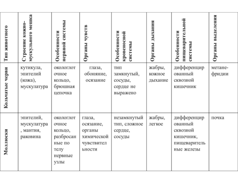 Сравнительная таблица кольчатых червей и моллюсков. Таблица сравнительная характеристика кольчатых червей и моллюсков. Таблица сравнения кольчатых червей и моллюсков. Сравнение строения моллюсков и кольчатых червей таблица. Сравнение кольчатых червей и моллюсков таблица 7 класс.