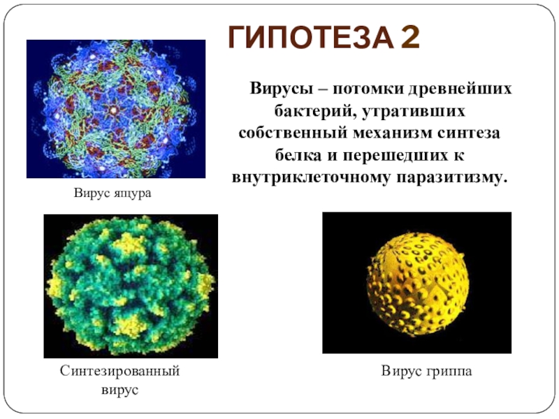 Неклеточные формы жизни вирусы бактерии. Вирусы неклеточные формы. Форма жизни вирусов. Неклеточные формы жизни вирусы и бактериофаги. Бактерии это неклеточная форма жизни.