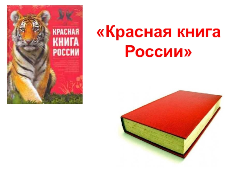 Презентация по природоведению Красная книга