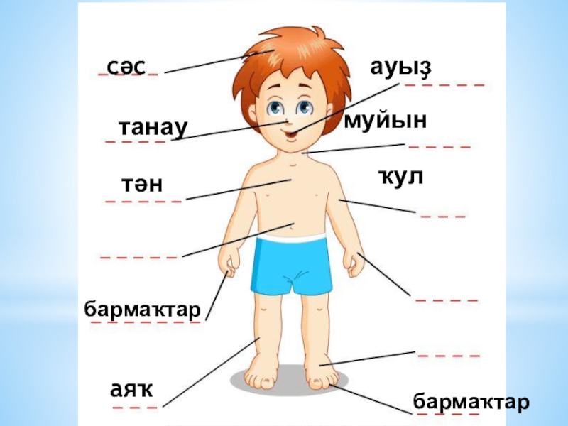 Части тела человека 1 класс презентация