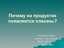 Презентация иследовательная работа Почему на продуктах появляются плесень