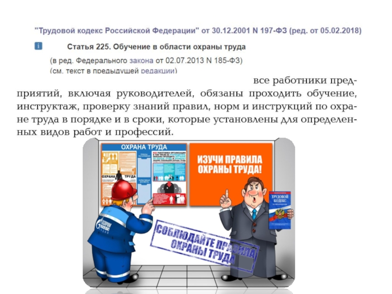 Охрана тк. Обучение в области охраны труда. Профессиональная подготовка в области охраны труда. Ст 225 ТК РФ. Охрана труда ТК.