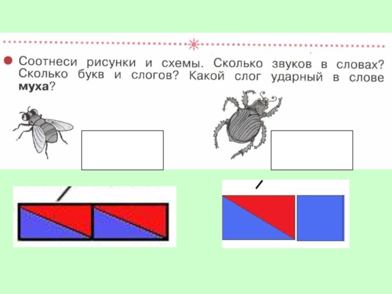 Разбор слова паук схема