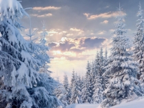 Презентация к уроку литературы Животные России (5 класс)