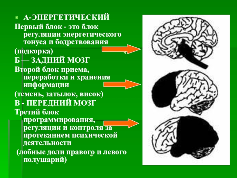 Второй блок