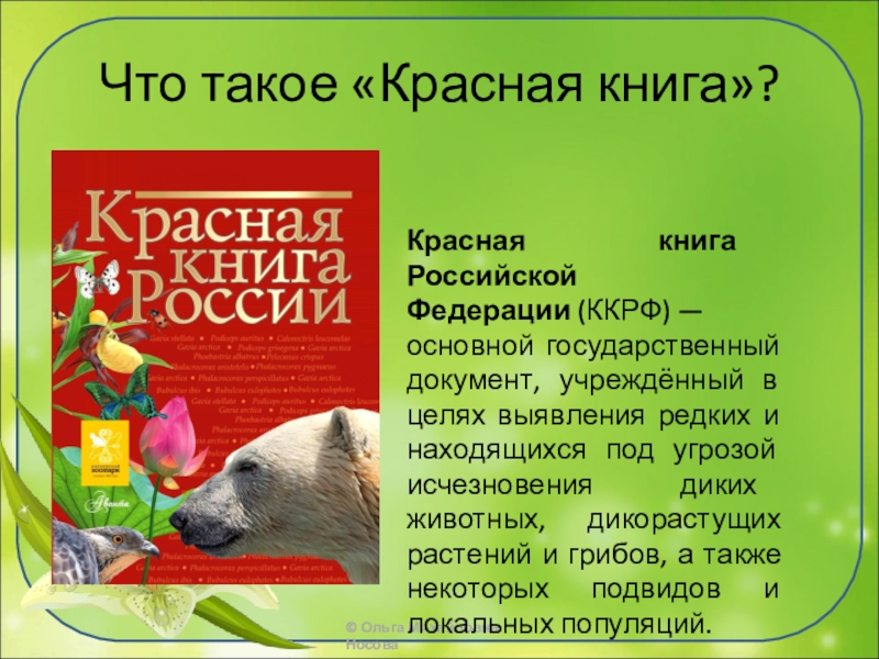 Презентация на тему красная книга на 5