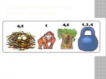 Презентация к уроку по биологии(7 класс) на тему
