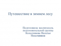 Презентация по познавательному развитию на тему  Путешествие в зимний лес  подготовительная группа