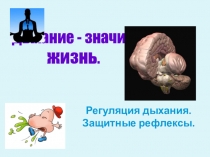 Презентация к уроку биологии на тему Регуляция дыхания